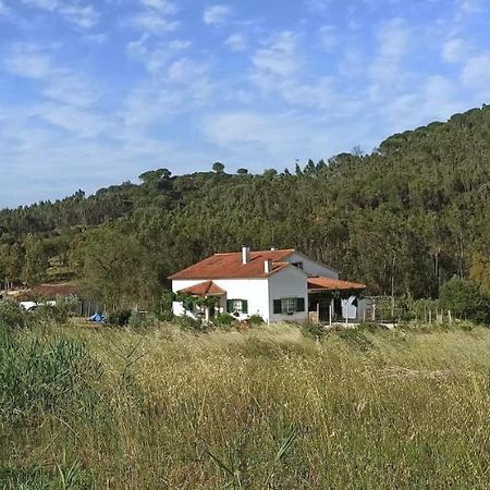Al- Quinta Dos Carvalhais Риу-Майор Экстерьер фото